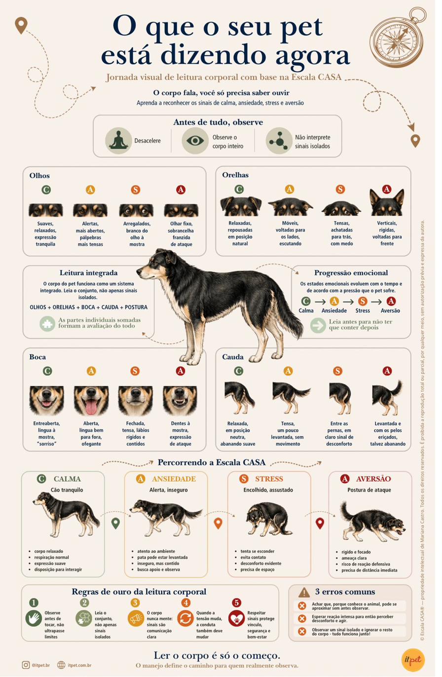 Mockup Infográfico
